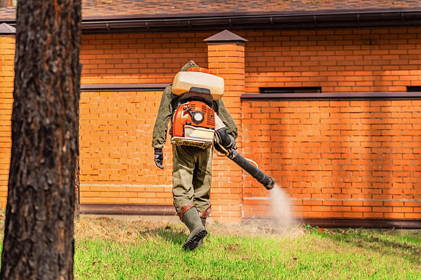 Trusted Rodent Control service in Crownsville, MD - Nex Pest Control